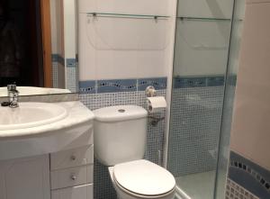 uma casa de banho com um WC, um lavatório e um chuveiro em Tranquilo y acogedor piso con encanto em Vegadeo