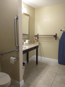 a bathroom with a sink and a mirror at Apalachicola Bay Inn in Apalachicola