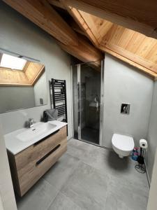 a bathroom with a sink and a shower and a toilet at Galibier & Spirit in Valloire +17 photos