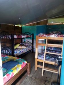 Zimmer mit 3 Etagenbetten in einem Zimmer in der Unterkunft Cabaña Murringo in Necoclí