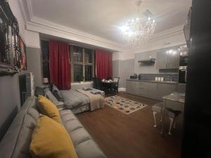 ein Wohnzimmer mit einem Sofa und einer Küche in der Unterkunft Immaculate Studio in Bristol in Bristol