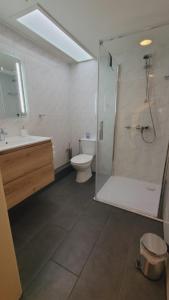 een badkamer met een douche, een toilet en een wastafel bij Appartement Blom in Dordrecht