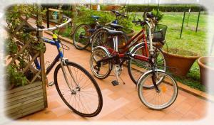 tres bicicletas estacionadas una al lado de la otra en un patio en Geoglobe Apartment, en Pisa