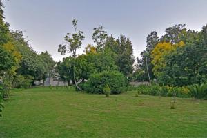 Fotografie z fotogalerie ubytování @Liam Cottesmore v destinaci Johannesburg