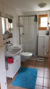 a bathroom with a sink and a toilet and a shower at Chalet Sonnenblick in Fiesch