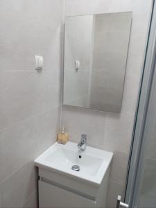 a bathroom with a sink and a mirror at Apartman Vanja in Rijeka