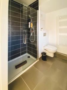 een badkamer met een douche en een toilet bij Studio Le Hésingue- Near Airport, Swiss & German board in Saint-Louis