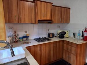 a kitchen with wooden cabinets and a stove top oven at Bella villa in Flic-en-Flac