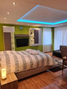 Μια τηλεόραση ή/και κέντρο ψυχαγωγίας στο WellandHome- Deluxe Apartment Schechingen