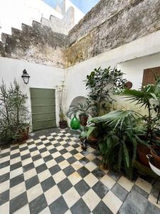 A garden outside Salento magic