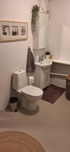 a bathroom with a white toilet and a sink at Private room, close to a great swimming pool in Reykjavík