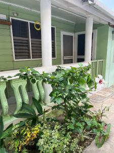 Ein grünes Haus mit einem Haufen Pflanzen davor. in der Unterkunft Andre's Guest House in Negril