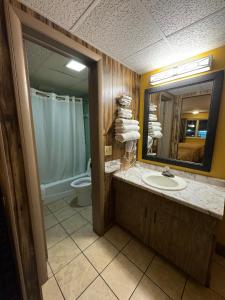 a bathroom with a sink and a mirror and a toilet at Tennessee Mountain Lodge in Pigeon Forge