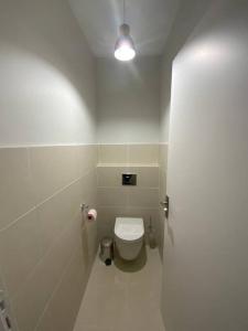 ペサックにあるLes domaniales du Pape - Maison 92m2の白いバスルーム(トイレ、照明付)