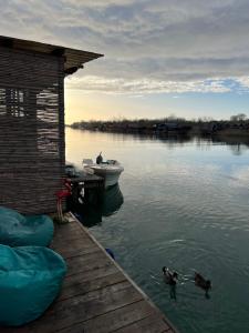 a dock with a boat and two ducks in the water at Barbana Cottage in Ulcinj