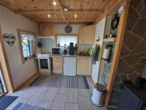 eine kleine Küche mit einem Herd und einem Kühlschrank in der Unterkunft Fjordgaestehaus in Innfjorden