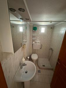 a bathroom with a sink and a toilet and a shower at STUDIO MARGARITA in Nea Plagia