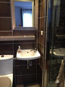 La salle de bains est pourvue d'un lavabo, de toilettes et d'un miroir. dans l'établissement Chambourcy, à Poissy