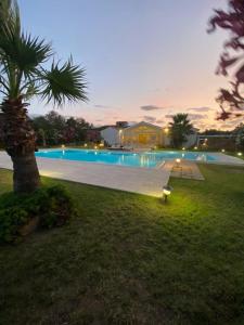 una gran piscina por la noche con una palmera en Villa Bianca, en Arzachena