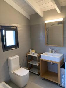 uma casa de banho com um WC e um lavatório em Montagna e Mare em Margariti