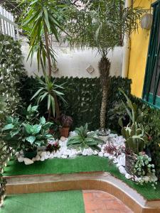 Vonkajšia záhrada v ubytovaní Amuri di casa Scogliera