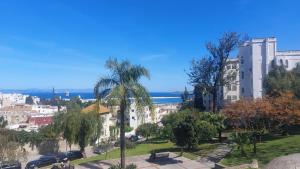 vista su una città con una palma di BANANa HOSTEL a Tangeri