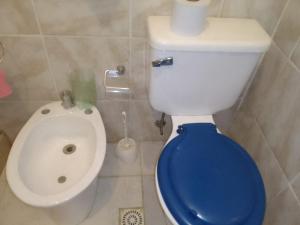 Manantiales的住宿－Los Tatas，浴室设有卫生间、蓝色盖子和水槽