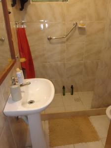 uma casa de banho com um lavatório e um chuveiro em Los Tatas em Manantiales
