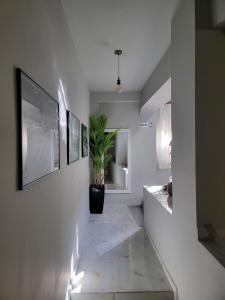 a hallway with a potted plant on the wall at Jonian Boutique Hotel in Sarandë