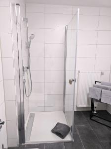 een douche met een glazen deur in de badkamer bij MY HOME N 35/2 in Villingen-Schwenningen