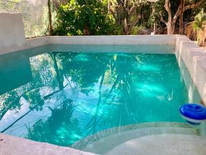 a pool of water with a frisbee in it at Hostal Republic in Mérida