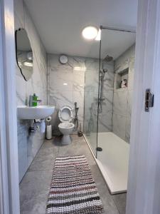 a bathroom with a toilet and a sink and a shower at Beautiful home in Oxford in Oxford