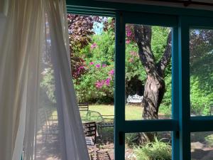 an open window with a view of a tree at Casa máximo confort con oficina in Campana