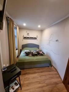 1 dormitorio con 1 cama con un dibujo en la pared en Apartamenti Alūksne en Alūksne