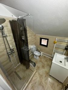 Un baño con ducha, inodoro y lavabo. en CABANA EDEN, en Câmpeni