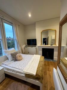 um quarto com uma cama com um espelho e uma lareira em London Central Richmond Cozy Apartment em Richmond