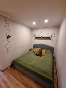 1 dormitorio con 1 cama con manta verde en Apartamenti Alūksne en Alūksne