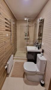 uma casa de banho com um WC, um lavatório e um chuveiro em Apartamenti Alūksne em Alūksne