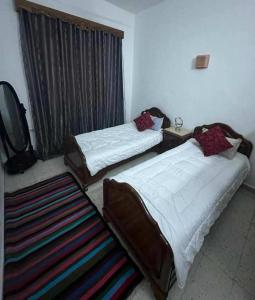 a bedroom with two beds and a tv and a rug at Appartement Chebbi in Tozeur