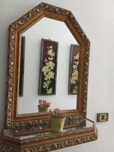 einen verzierten Spiegel auf einem Regal mit zwei Pflanzen in der Unterkunft Appartement Chebbi in Tozeur