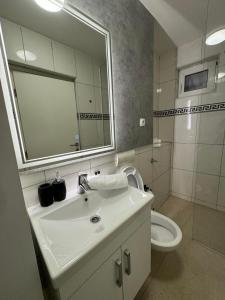 a bathroom with a sink and a toilet and a mirror at Estrada Apartment in Sarajevo