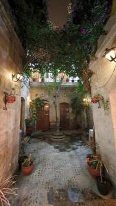 阿雷基帕Casa El Errante的一座古老的建筑中种有盆栽植物的庭院