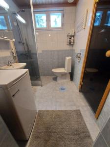 a bathroom with a toilet and a sink and a shower at Villa kitkanhelmi in Kuusamo