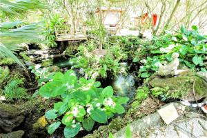 a garden with a bridge and a pond with a statue at Bird Tiny House in Charming Japanese Garden in Homestead