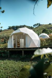 a white dome tent in the middle of a field at Rainbow Glamping in Abejorral