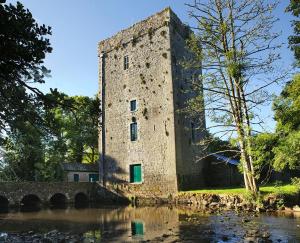 an old stone tower next to a body of water at Valley view in Gort