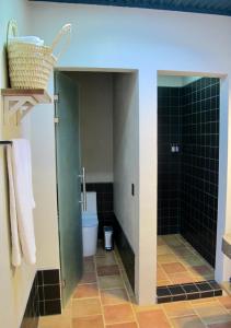 ein Bad mit einem WC und einer ebenerdigen Dusche in der Unterkunft Hotel La Tarjea in Real de Catorce