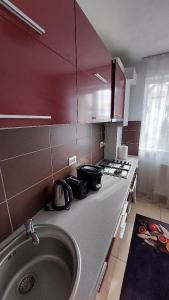 a small kitchen with a sink and a stove at Apartament Râșnov in Râşnov