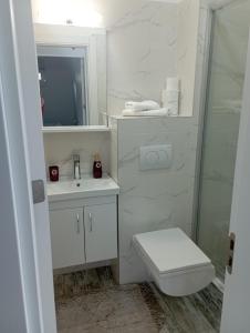 ein weißes Bad mit einem WC und einem Waschbecken in der Unterkunft Vila Leona D-1 in Divčibare