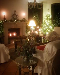 a living room with a christmas tree and a fireplace at Quinta do Cabouco in Ribeira Brava